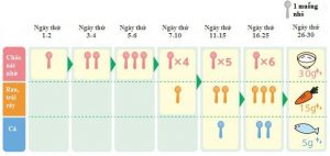 Thời gian biể ăn dặm cho bé