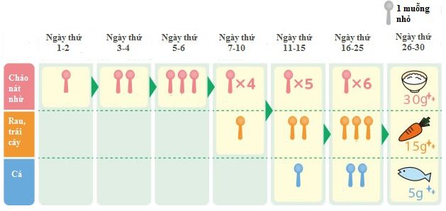 Thời gian biểu ăn dặm cho bé