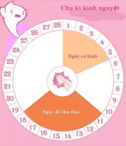 ứng dụng theo dõi chu kỳ kinh nguyệt