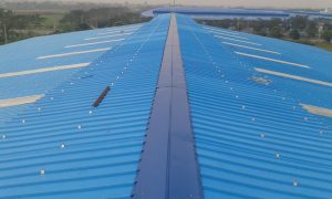 Chi tiết tổng quan về mái nhà xưởng công nghiệp