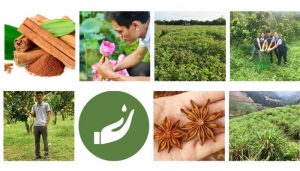 Kinh nghiệm chọn nhà cung cấp tinh dầu giá sỉ