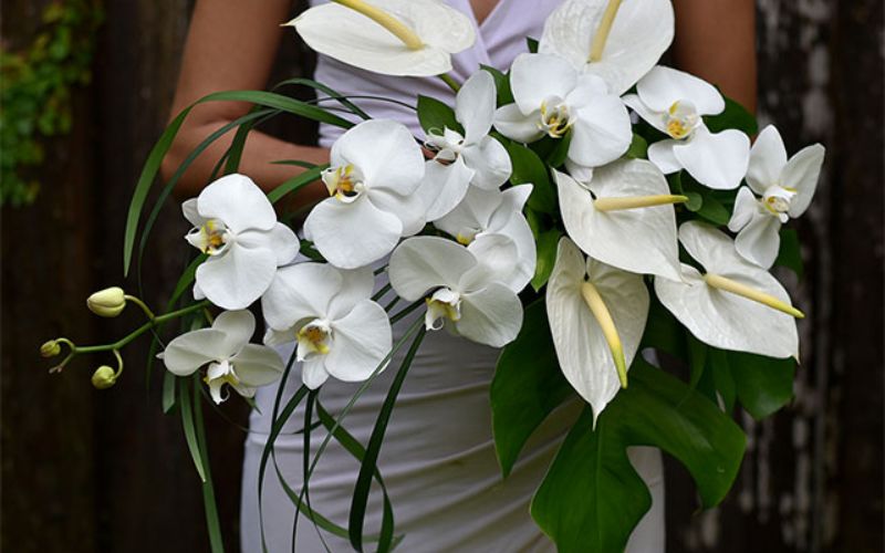 Bó hoa cưới quý phái với hoa lan