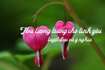 Không Sợ Hoa Héo Với Mẹo Mua Hoa Về Cắm Giúp Hoa Tươi Lâu, Nở Căng