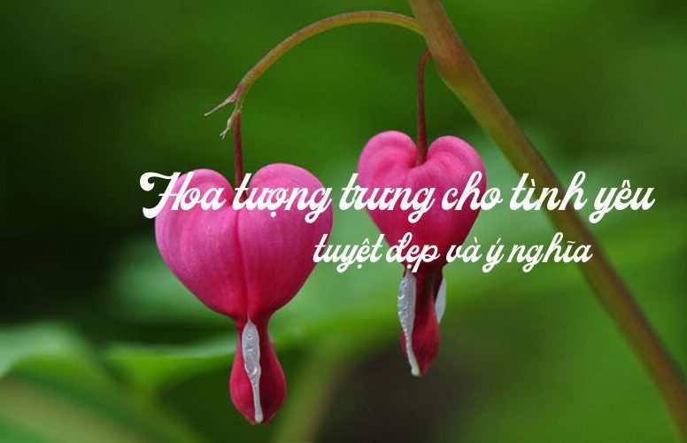 Hoa tượng trưng cho tình yêu