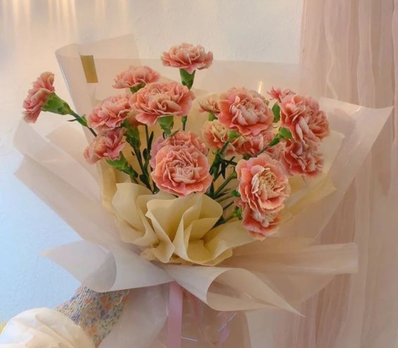 Hoa cẩm chướng là hoa thể hiện tình yêu bình yên