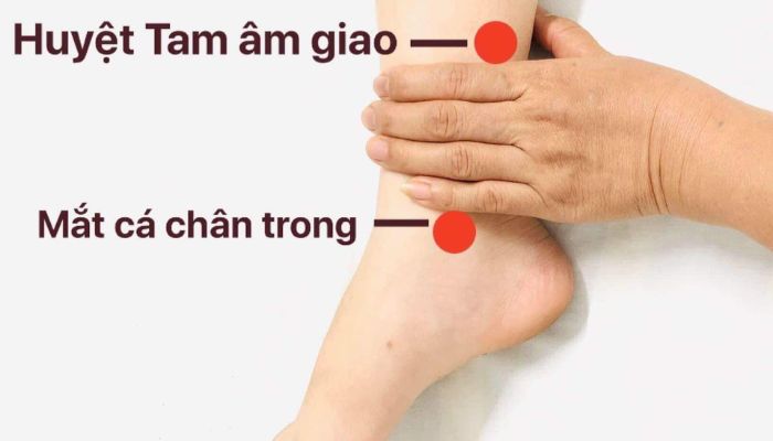 Huyệt tam âm giao