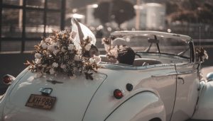 Trang trí điểm nhấn ở đuôi xe