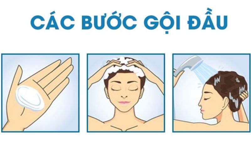 Các bước gội đầu đúng cách