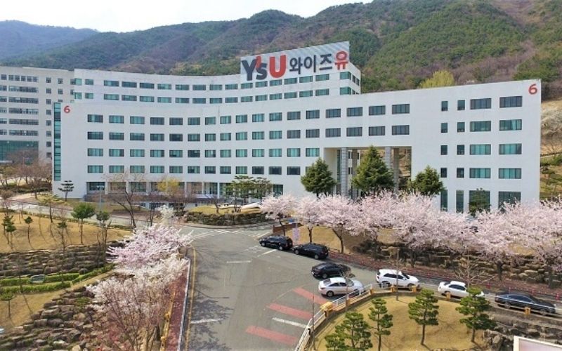 Trường Đại học Young-san