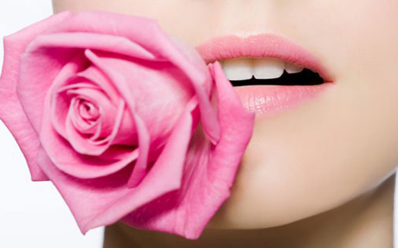 dưỡng môi bằng hoa hồng