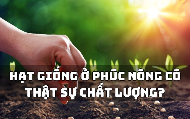 mua hạt giống ở phúc nông có chất lượng không?