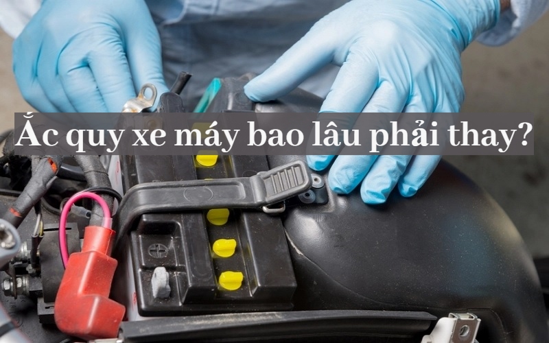 Top 11+ nhà cung cấp vật liệu xây dựng uy tín nhất