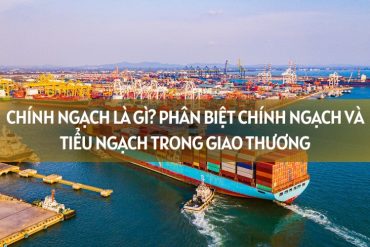 Top 7 Shop Quần Áo Đá Bóng Uy Tín tại Long Biên Mới Nhất Năm 2024