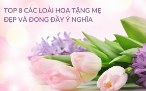 hoa tặng mẹ