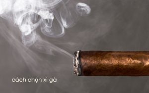 cách chọn xì gà