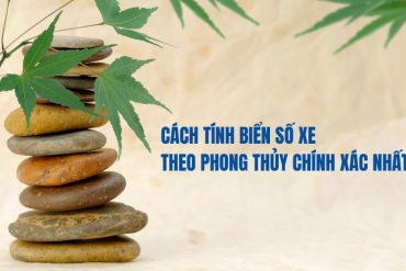 So Sánh Ghế Giám Đốc Và Ghế Nhân Viên – Những Điểm Khác Biệt Cơ Bản