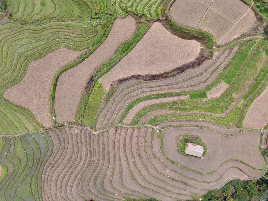 Tại Sao Ha Giang Loop Lại Là 'Giáo Trình' Kỹ Năng Sống Độc Đáo? Tại Sao Ha Giang Loop Lại Là 'Giáo Trình' Kỹ Năng Sống Độc Đáo?