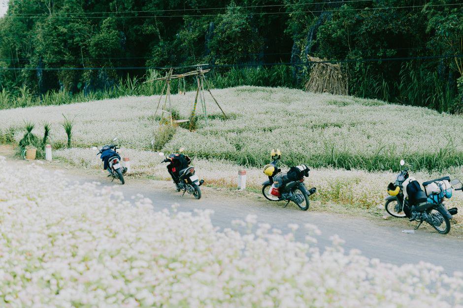 Tự Túc Hay Đi Tour: Lựa Chọn Nào Tối Ưu Cho Sinh Viên Lần Đầu? Tự Túc Hay Đi Tour: Lựa Chọn Nào Tối Ưu Cho Sinh Viên Lần Đầu?